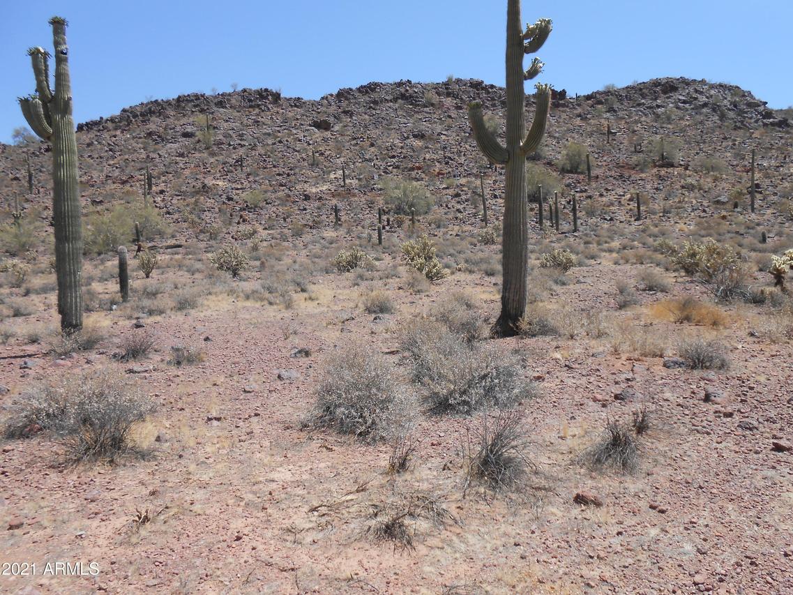 27309 N 155th Ave. #--------, Surprise, AZ 85387