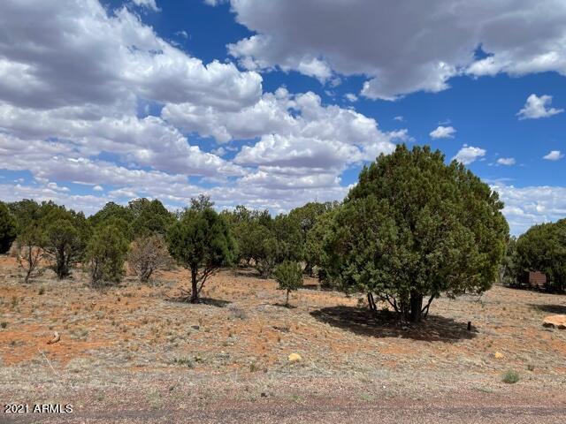 3443 E Riata Rd. #76, Heber, AZ 85928