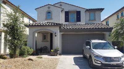 9541 E Travertine Ave., Mesa, AZ 85212