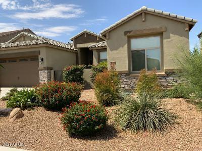22211 E Via Del Oro Ct., Queen Creek, AZ 85142