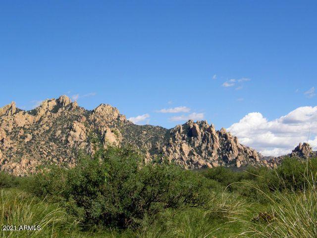 Lot 192 E Diamondback Rd. #192, Saint David, AZ 85630