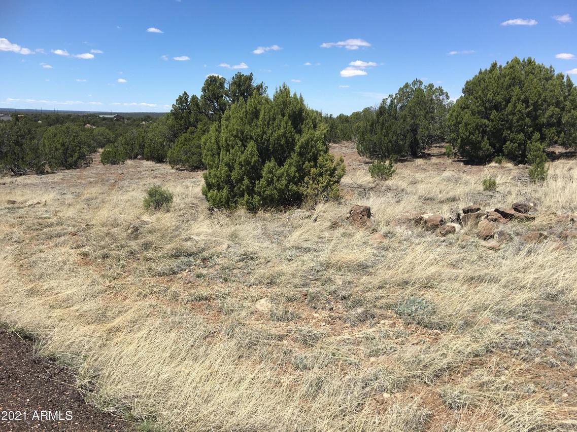 7986 E White Mountain Lake Rd. #-, Show Low, AZ 85901