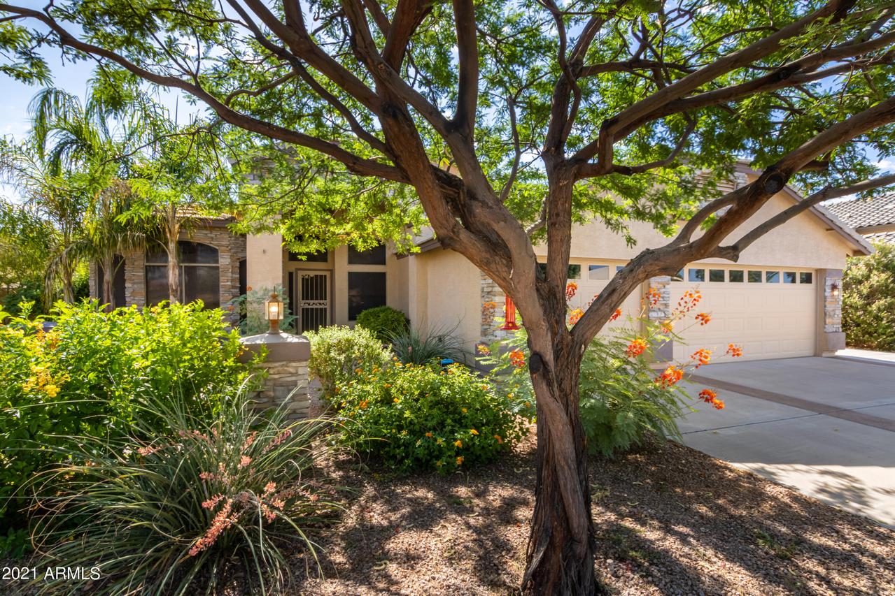 6255 S Opal Dr., Chandler, AZ 85249