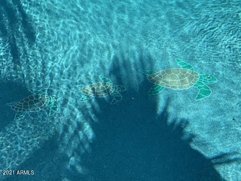 5905 W Nancy Rd., Glendale, AZ 85306