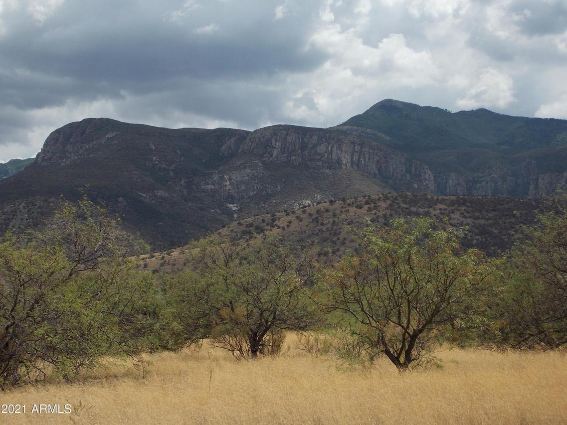 00 Ramsey Canyon Rd. #-, Hereford, AZ 85615