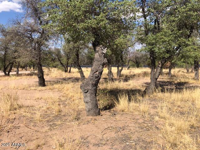 TBD Emory Oak Ridge #50, Hereford, AZ 85615