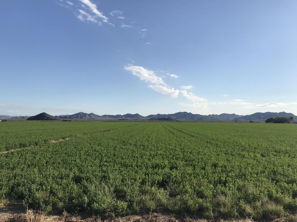 0000 S Old Us Hwy 80 #1, Buckeye, AZ 85326