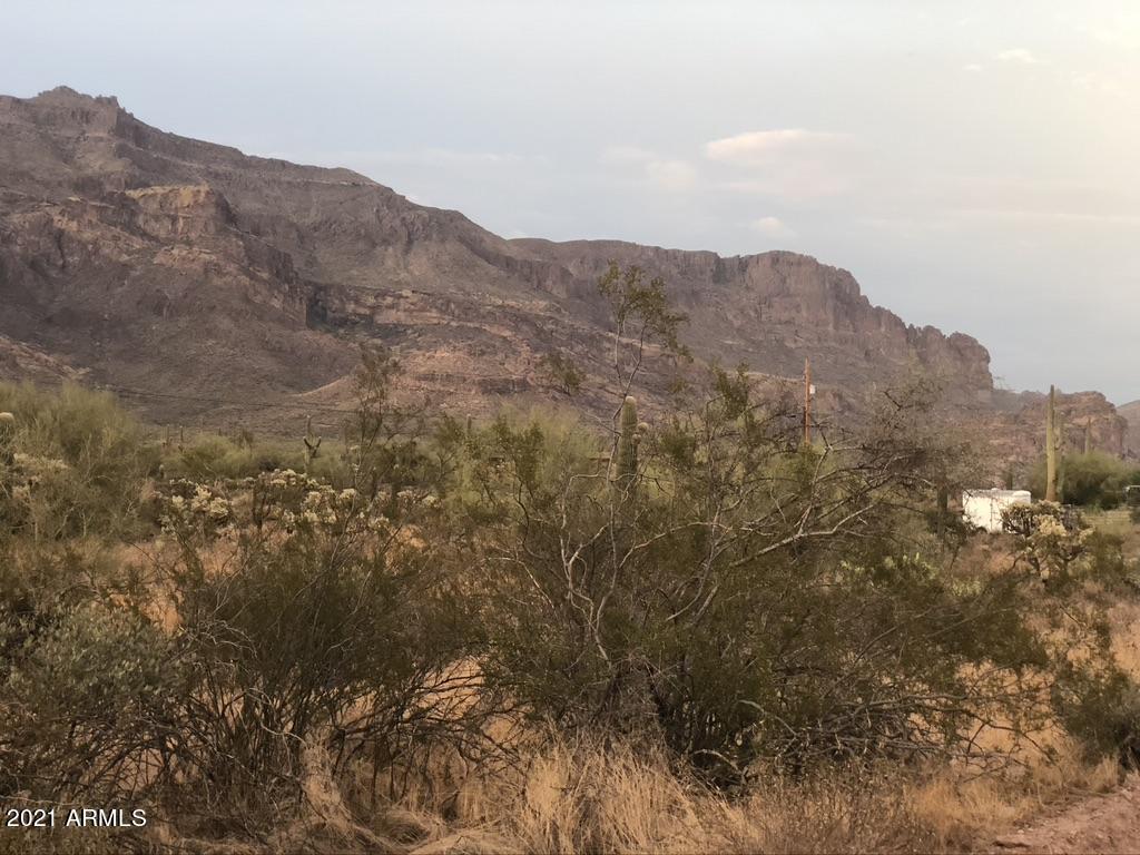 ----- E Baseline Ave. #1, Gold Canyon, AZ 85118