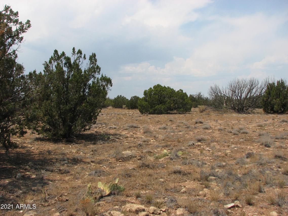 Sec 17 Chevelon Retreat, T14, R17e #-, Heber, AZ 85928