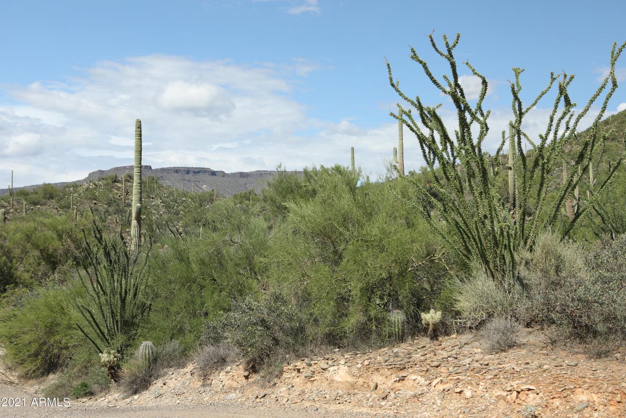 44901 N Cottonwood Canyon Rd. #'-', Cave Creek, AZ 85331