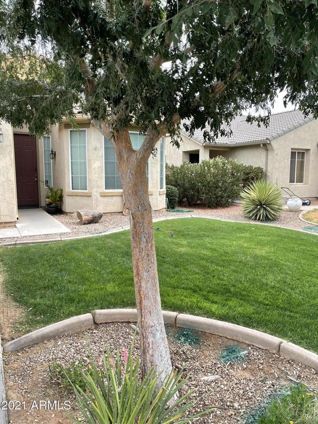 10486 E Wallflower Ln., Florence, AZ 85232