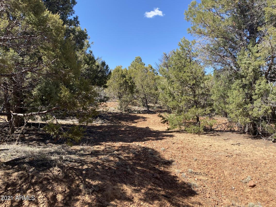 000 Casper Ln. #-, Linden, AZ 85901