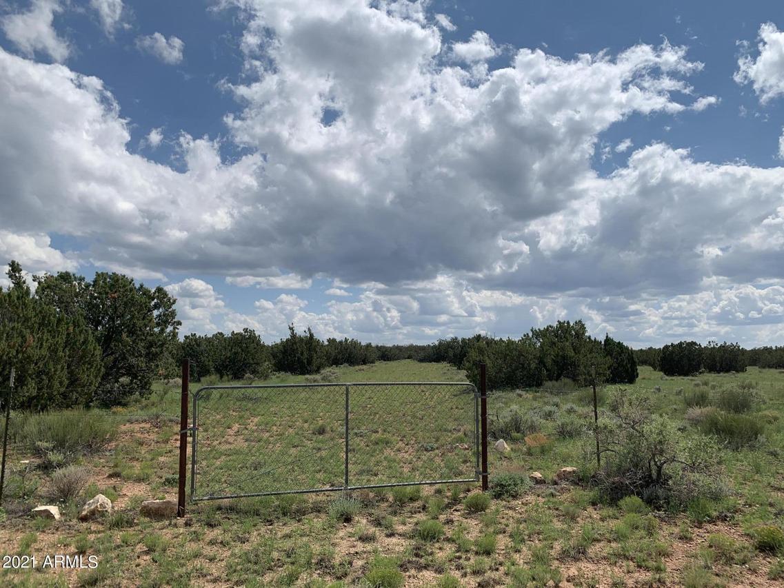 Sec. 10 T14n, R16e:e2, Nw4 Ne4, Se4, Heber, AZ 85928