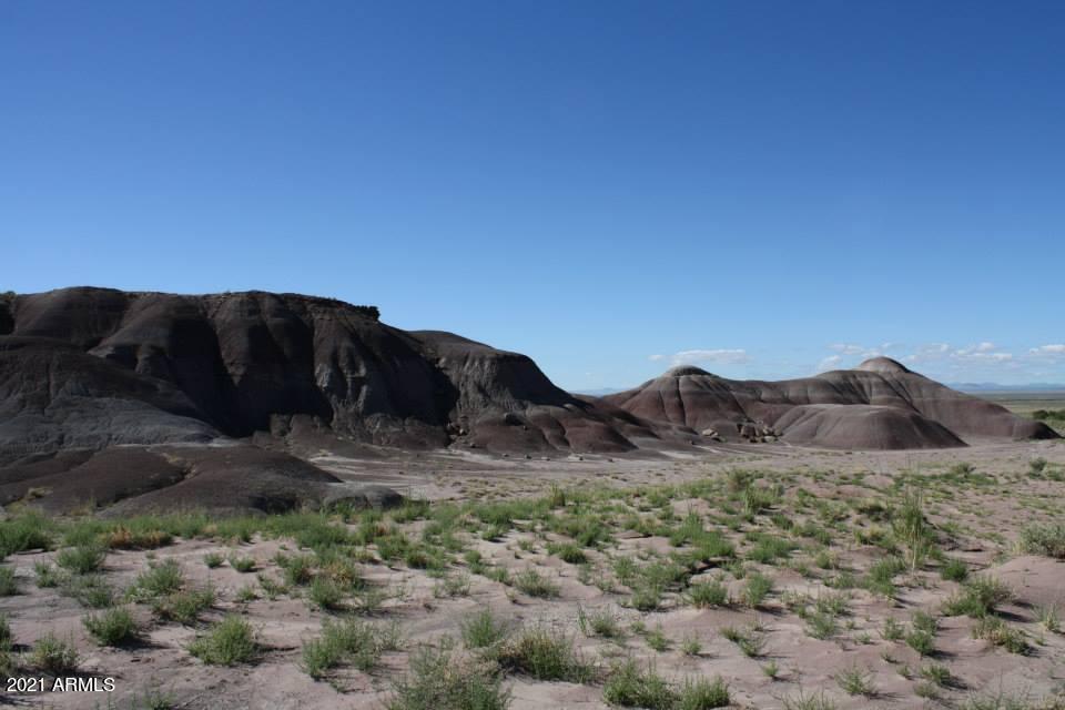 000 Unknown #308, St Johns, AZ 85936