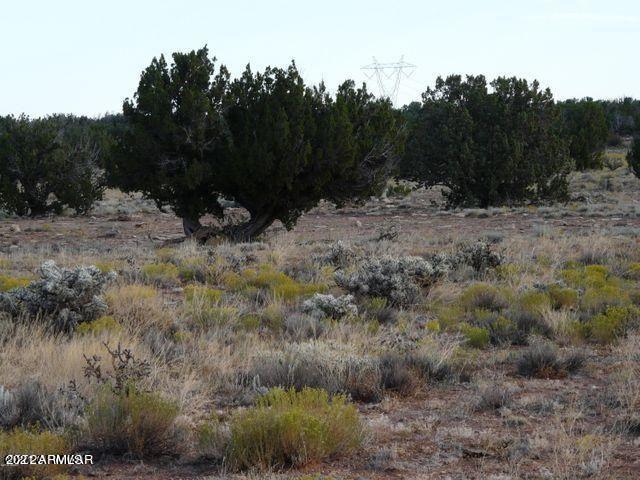 Lot 564 Chevelon Canyon Ranch Unit 4 #564, Heber, AZ 85928
