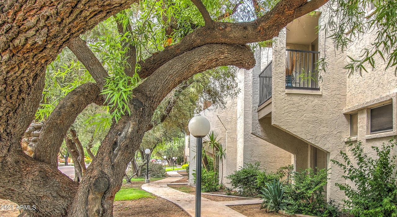 8225 N Central Ave. #9, Phoenix, AZ 85020