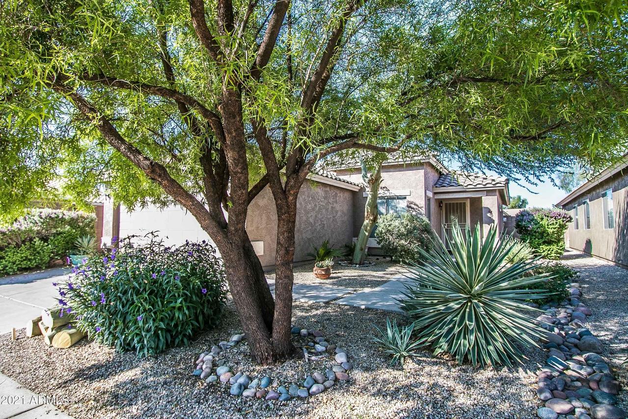 30610 N Coral Bean Dr., San Tan Valley, AZ 85143