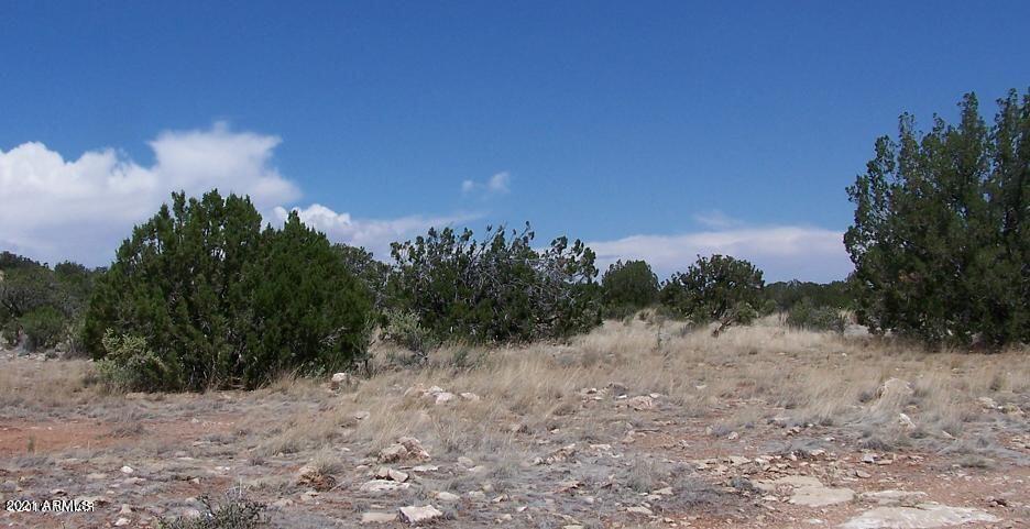 Lot 459 Ccr#3, 6152 Waverly Dr #459, Heber, AZ 85928