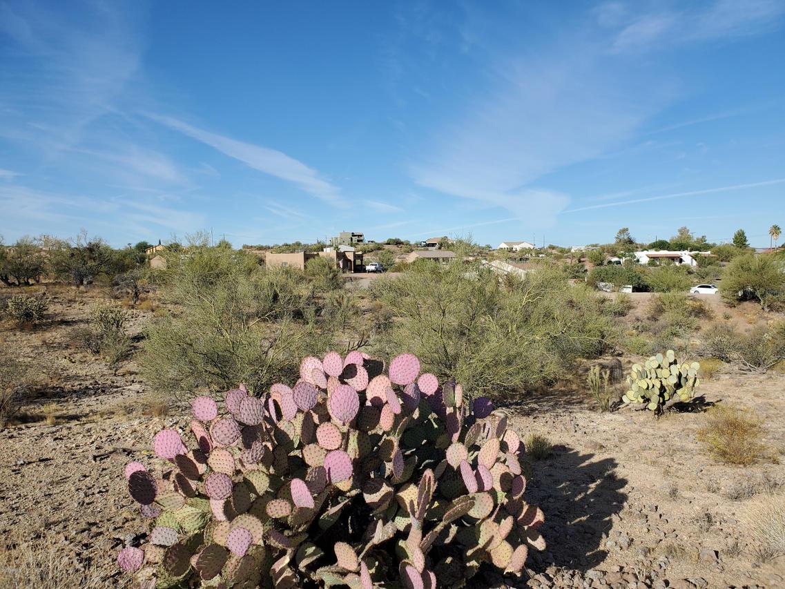 1095 S 328th Ave. #-, Wickenburg, AZ 85390