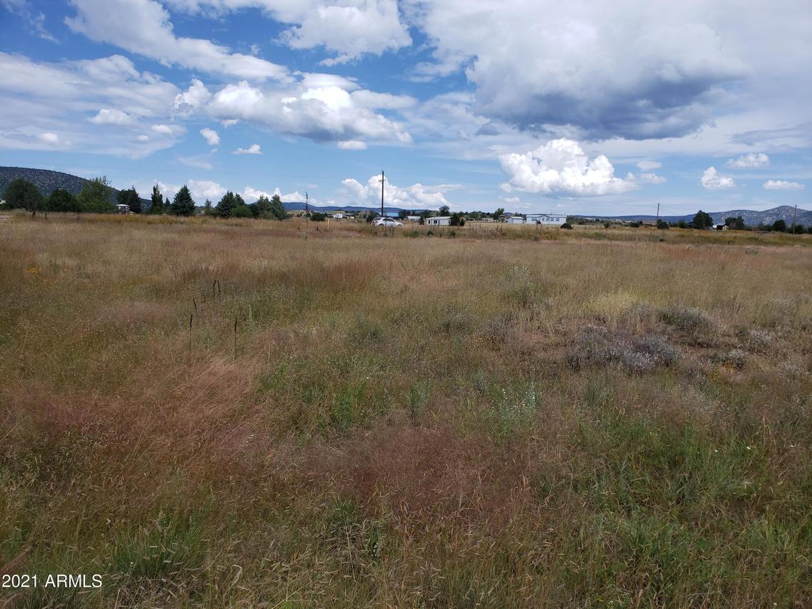 1J1E N Highway 288 #-, Young, AZ 85554