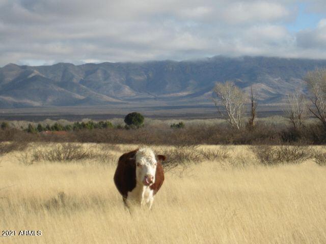 TBD E Boundary Rd. #2, Hereford, AZ 85615