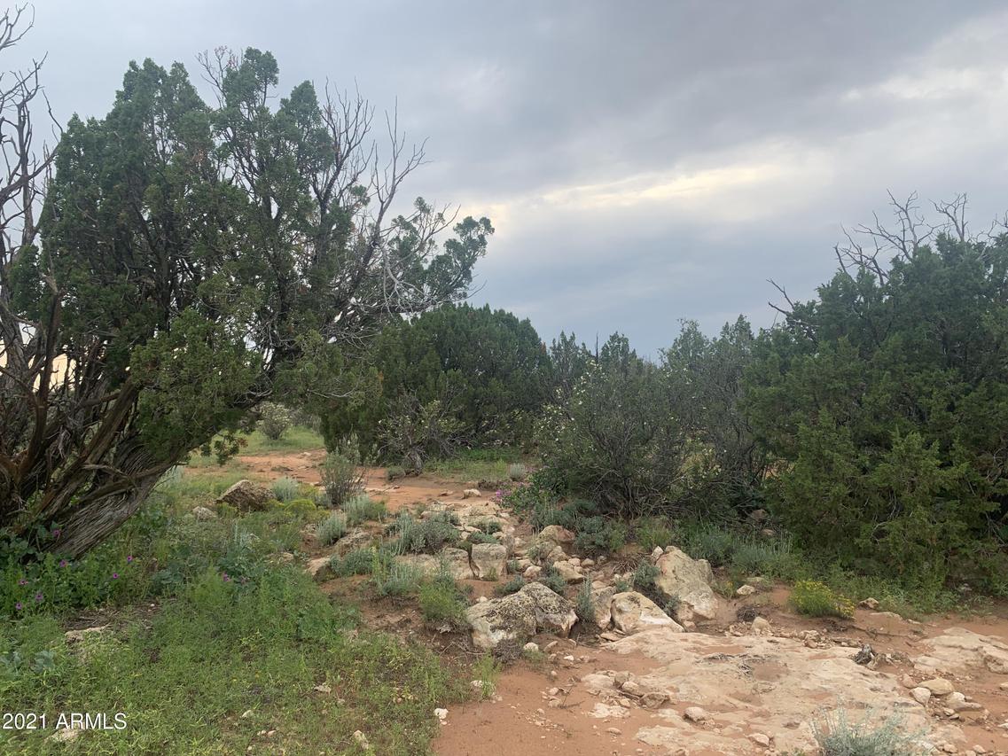 1725 Mcallister Ave. #-, Heber, AZ 85928