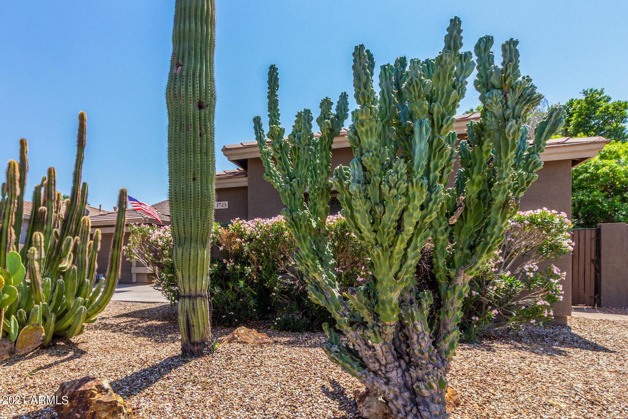 1723 W Hopi Dr., Chandler, AZ 85224