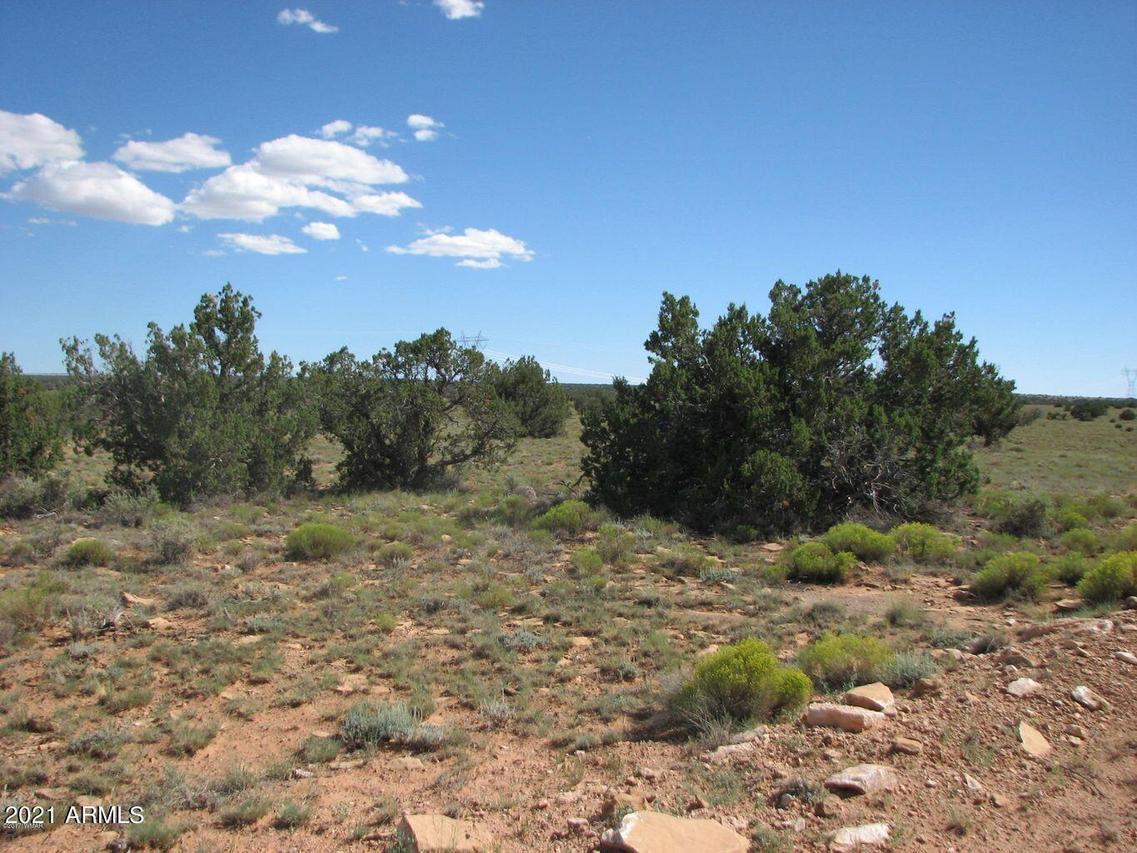 Lot 305 Chevelon Canyon Ranch #305, Heber, AZ 85928