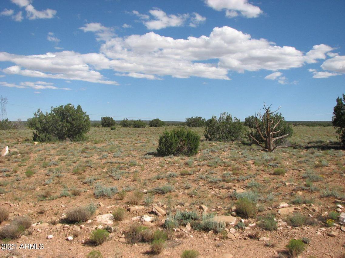 Lot 306 Chevelon Canyon Ranch #306, Heber, AZ 85928