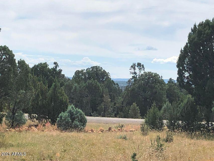 3432 Sierra Cir. #49, Heber, AZ 85928