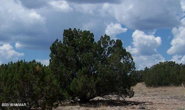 Sec 25 T15n, R15e: Ne4,se4 Cr #23, Heber, AZ 85928