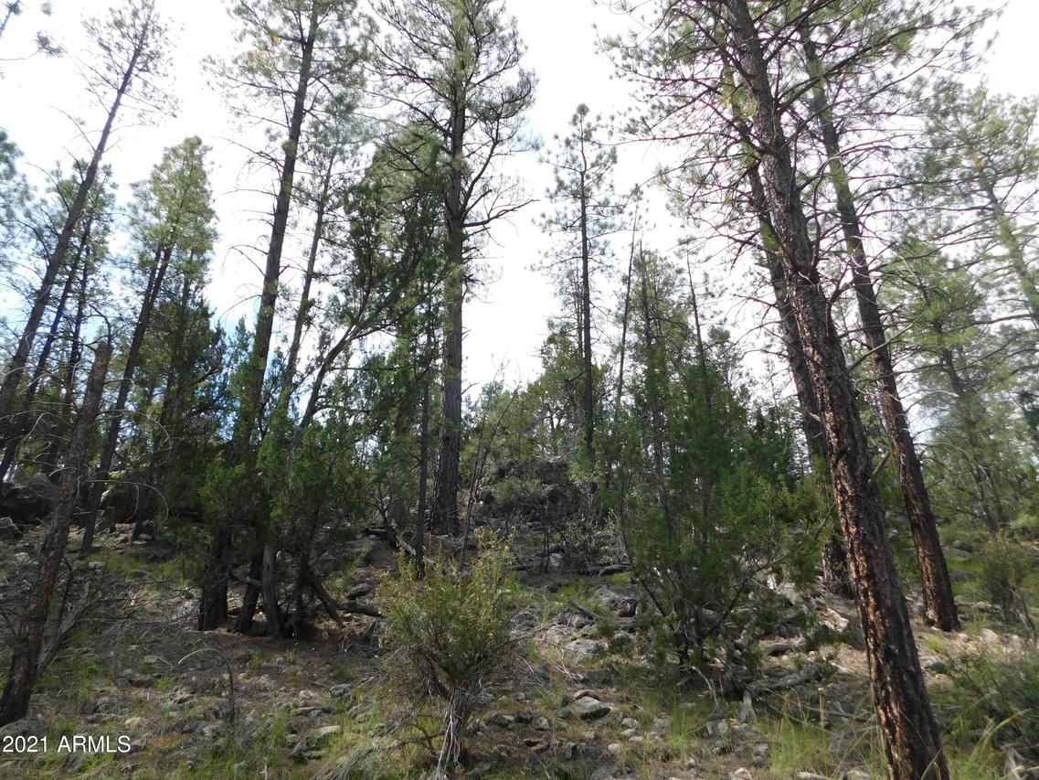 2926 Deer Hill Rd. #23......, Heber, AZ 85928