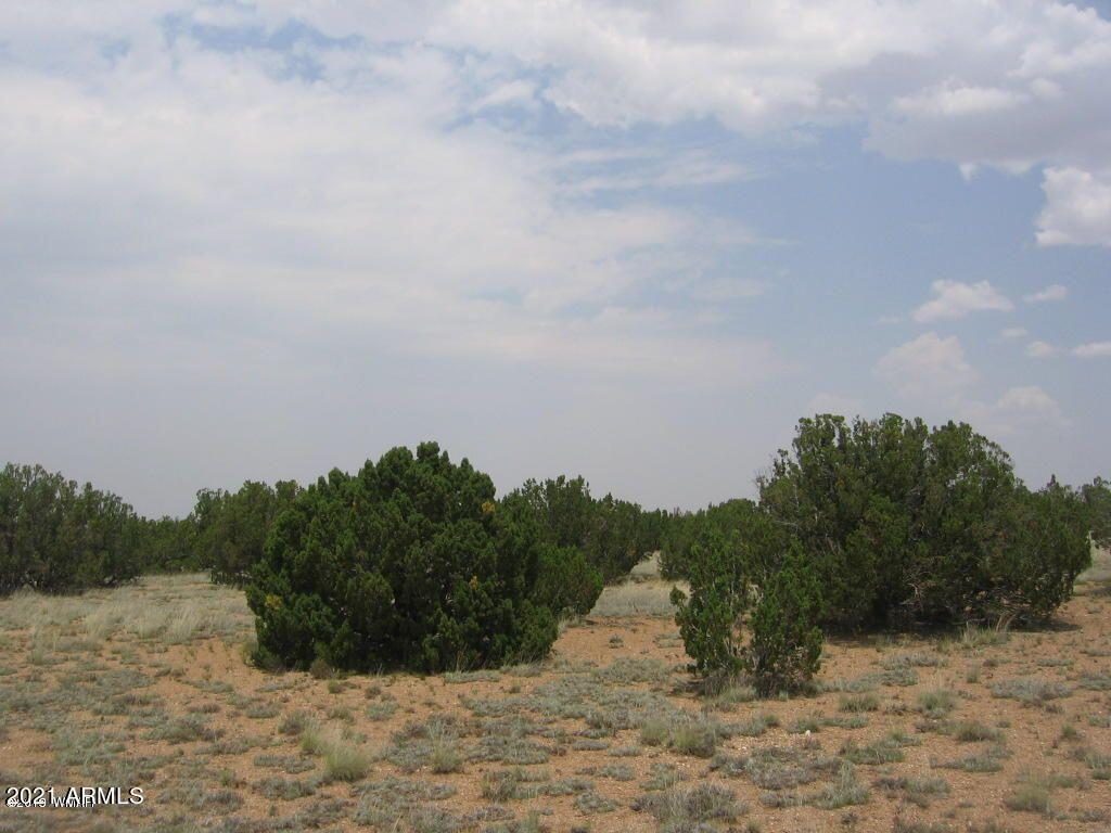 Sec 7 T14n,r16e Chevelon Retreat #002G, Heber, AZ 85928