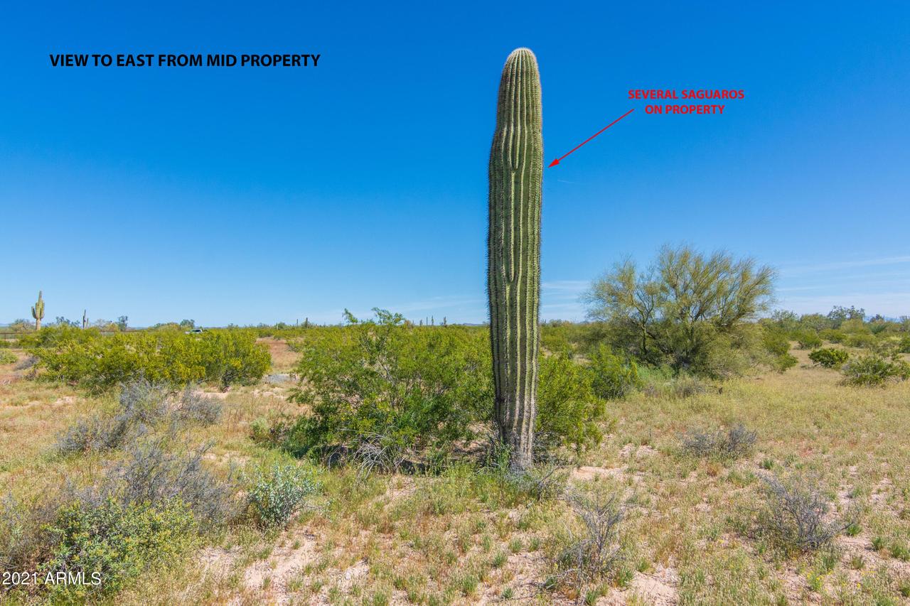 00XX N Quail Run (approx) Rd. #-, Florence, AZ 85132