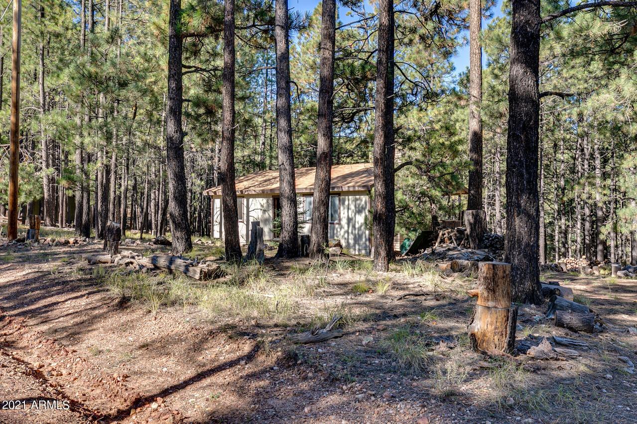 2119 Turkey Tr., Forest Lakes, AZ 85931