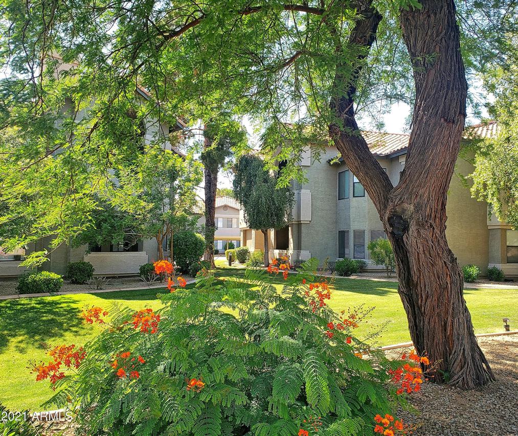 9600 N 96th St. #144, Scottsdale, AZ 85258