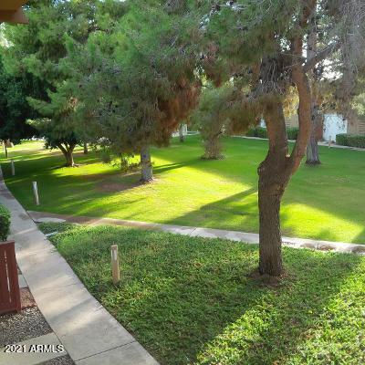 6125 E Indian School Rd. #280, Scottsdale, AZ 85251