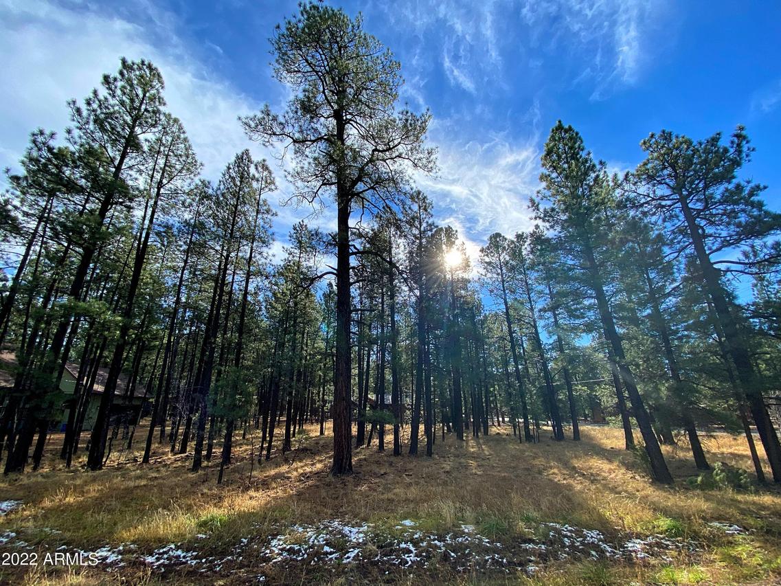 7508 Tall Pine Dr. #10, Pinetop, AZ 85935