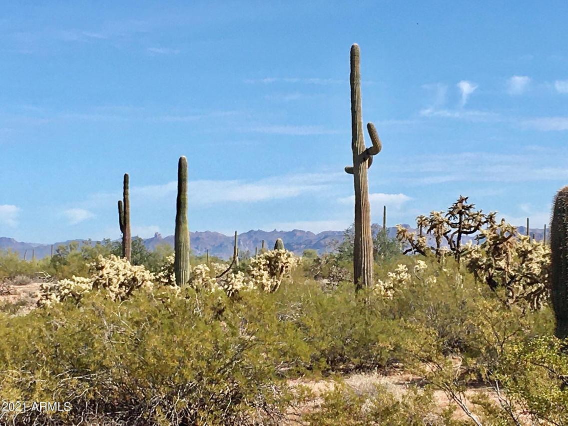 Wee Jog Rd. #'-', Florence, AZ 85132