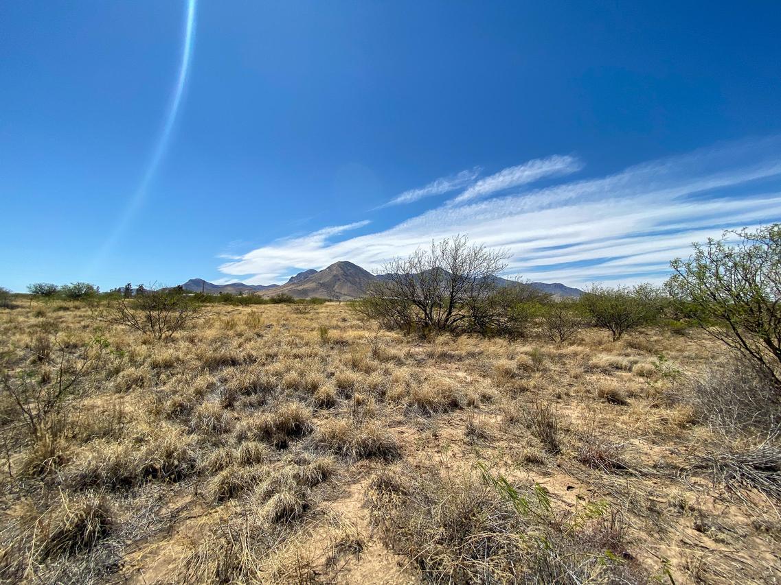 000 S Paint Ranch Rd. #L, Hereford, AZ 85615