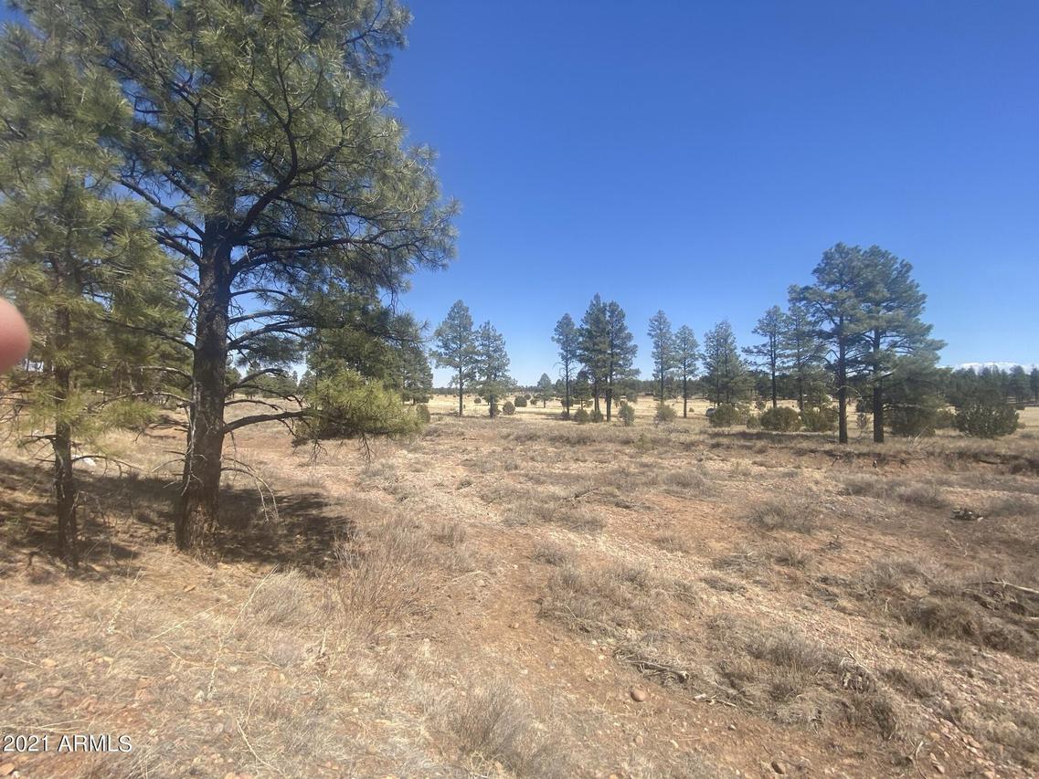 Lodge Rd. #-, Aripine, AZ 85933