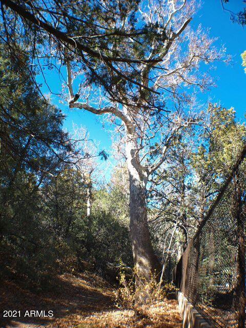 Lot 21 Verde Dr. #21, Payson, AZ 85541