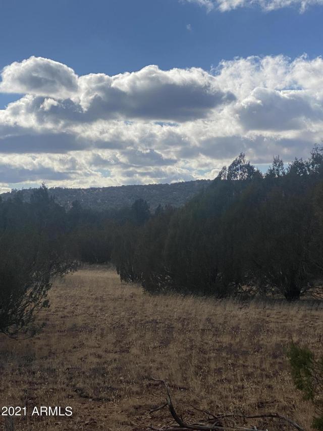 53570 N Via De Oro Pkwy. #1481, Seligman, AZ 86337