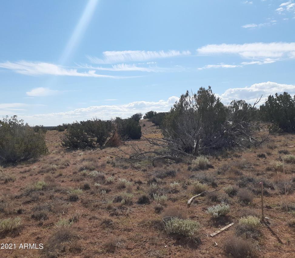 Lot 120 Chevelon Canyon Ranch Rd. #120, Heber, AZ 85928