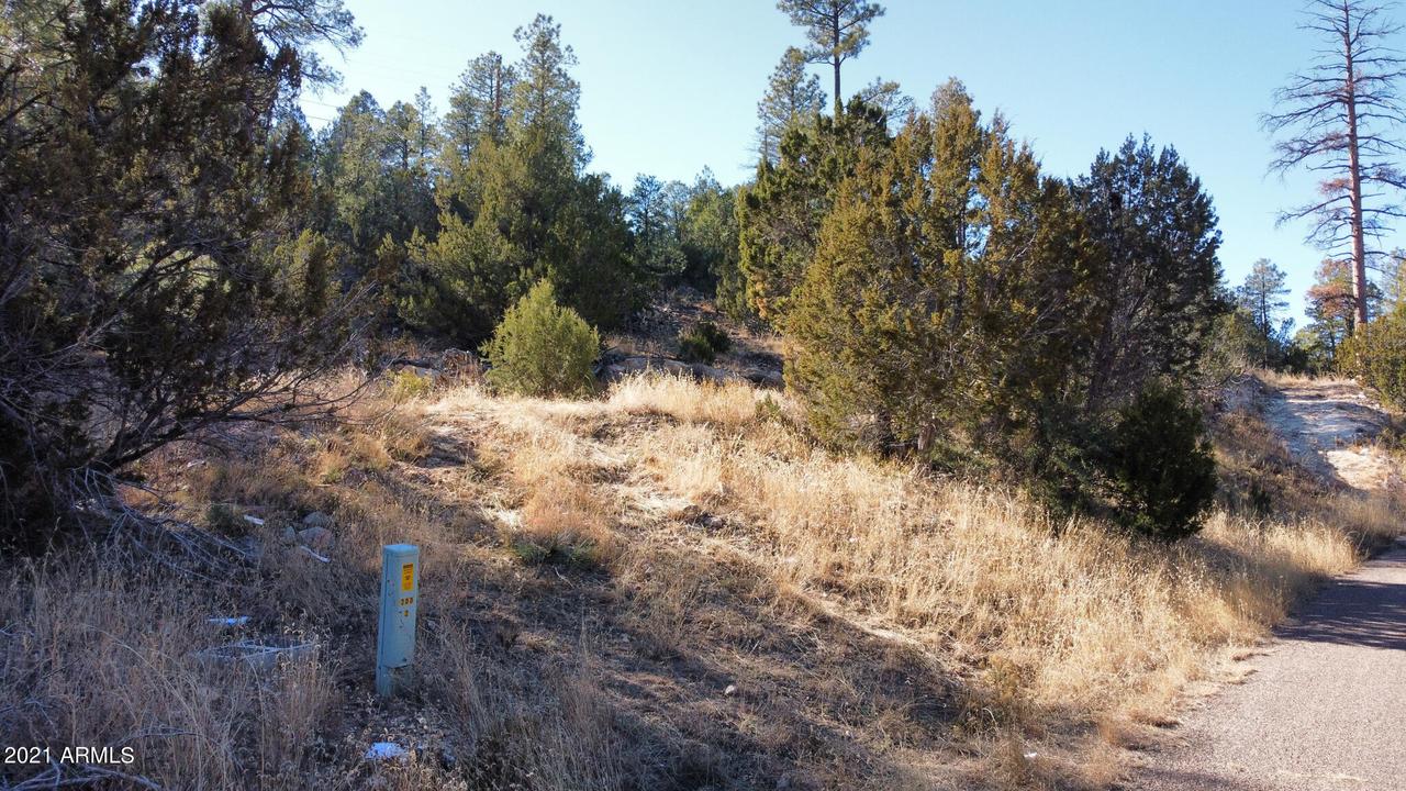 1905 Pine Dr. #192, Overgaard, AZ 85933