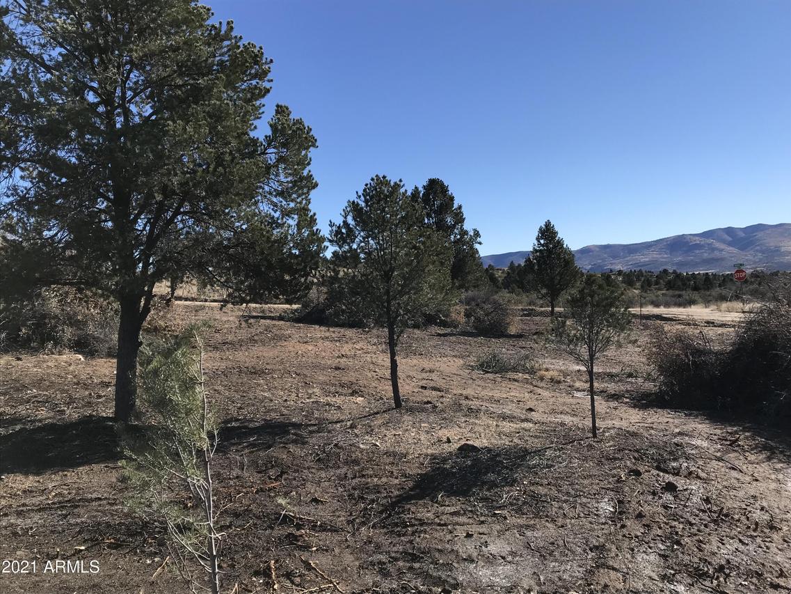 17424 S Juniper Dr. #61, Peeples Valley, AZ 86332