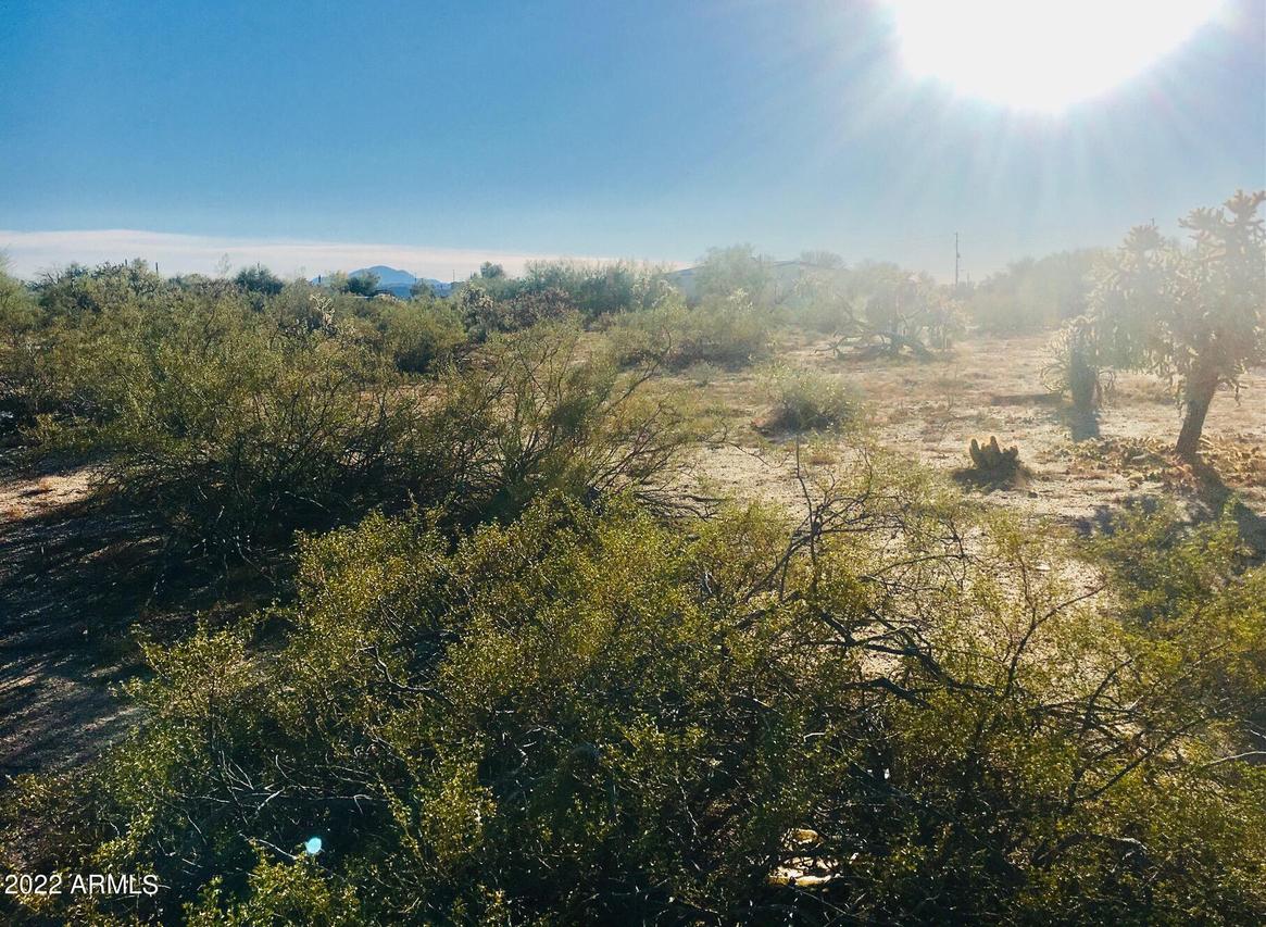 TBD E Cactus Forest Rd. #'-', Florence, AZ 85132