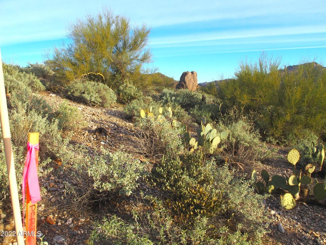 E Hardt Tank Rd. #-, Queen Valley, AZ 85118