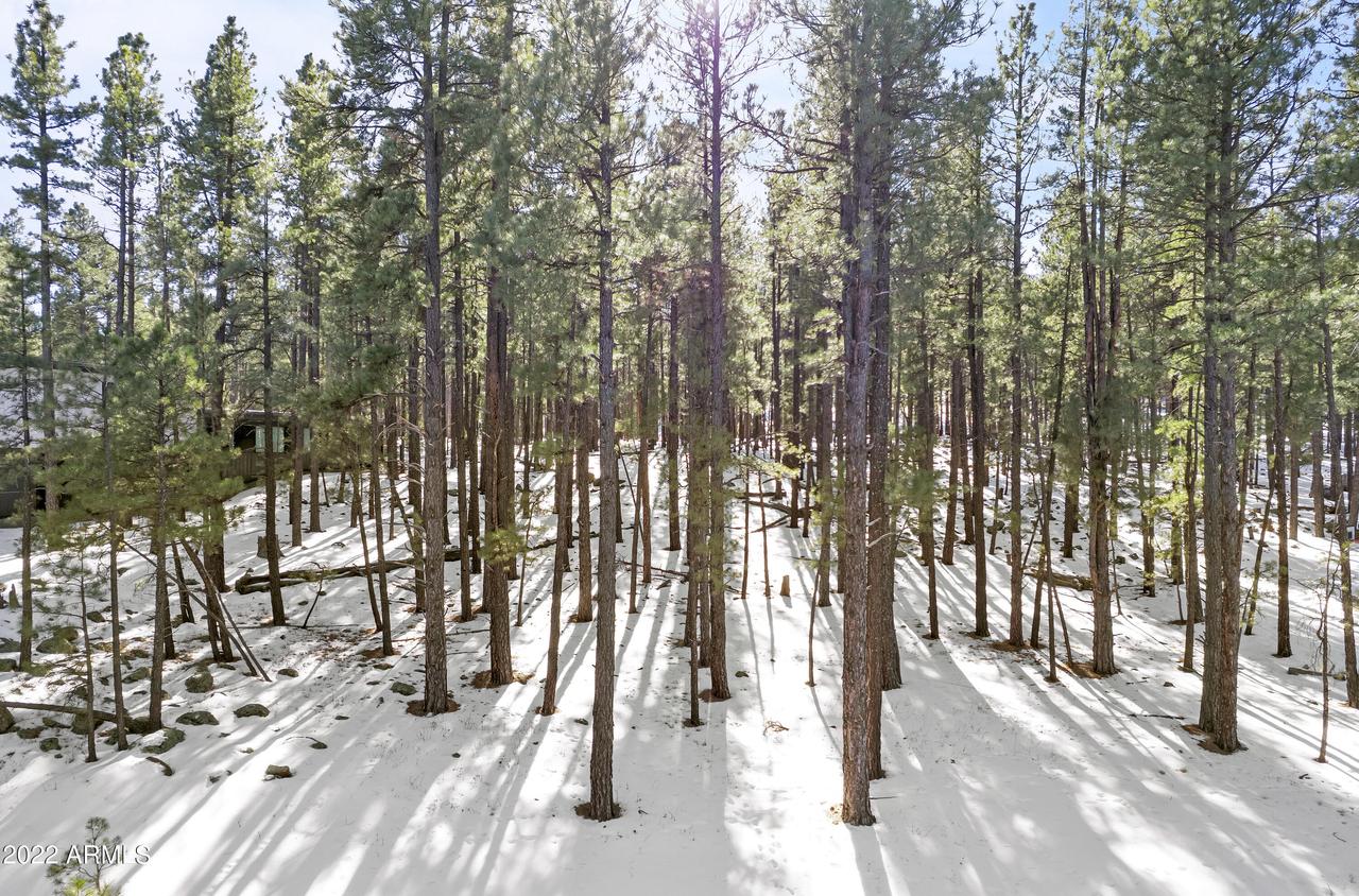 2280 N Fremont Blvd. #15, Flagstaff, AZ 86001