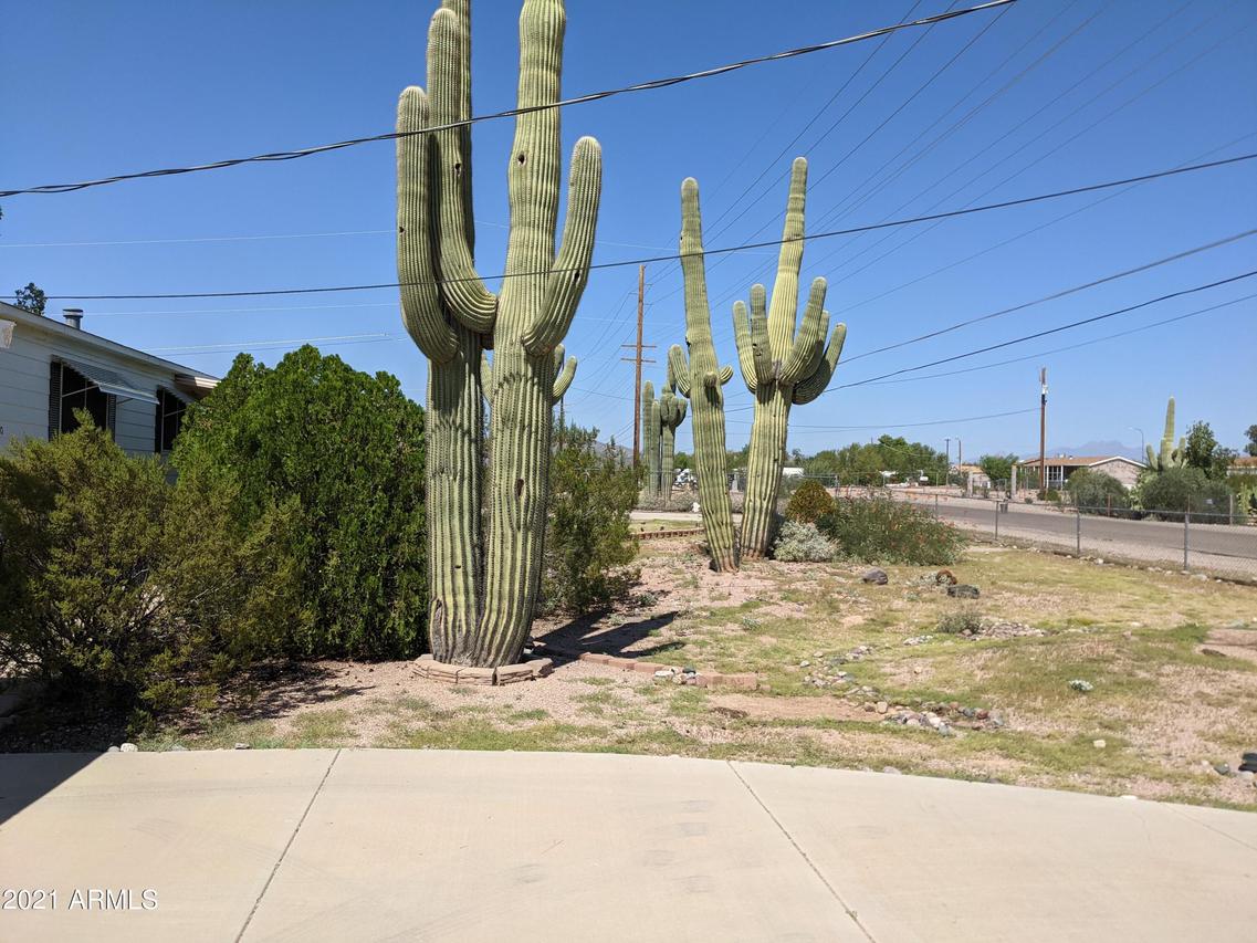 590 N Cactus Rd., Apache Junction, AZ 85220